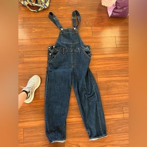 Levi overalls